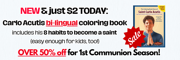 4_14 Holy Heroes Graphic