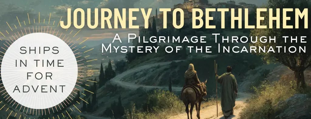 11-21-loop-graphic-road-to-purity