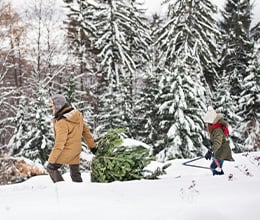 Article-Image-21-things-every-man-should-do-this-winter_