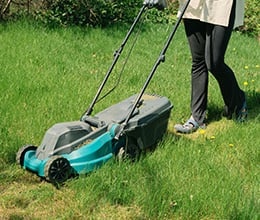 Article-Image-5-lawncare-mistakes