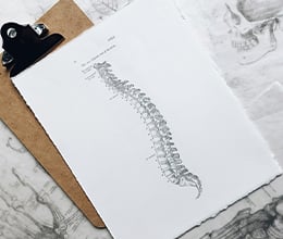 Article-Image-6-ways-to-improve-your-posture_