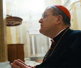 Article-Image-Cardinal-Burke-says-true-patriotism-flows-from-piety-and-ordered-love_