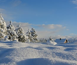 Article-Image-Cold-that-reveals-what-endures_