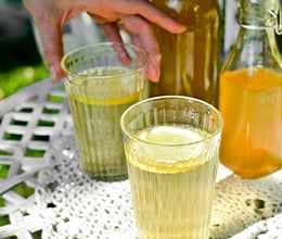 Article-Image-Fall-fermentation-guide_-How-to-make-kombucha-and-fire-cider-at-home_