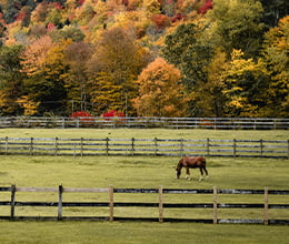 Article-Image-How-to-have-your-most-creative-autumn-yet_