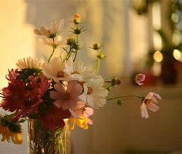 Article-Image-Is-romanticizing-your-life-actually-Biblical__