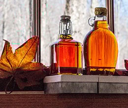 Article-Image-Moonlight-maples_