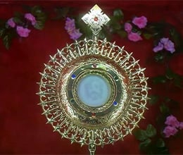 Article-Image-New-app-inspired-by-St.-Carlo-Acutis-encourages-learning-about-Eucharistic-miracles_