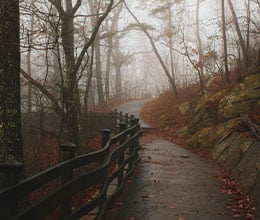 Article-Image-Remember-remember-the-month-of-November_