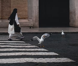 Article-Image-The-hidden-heart-of-the-world_