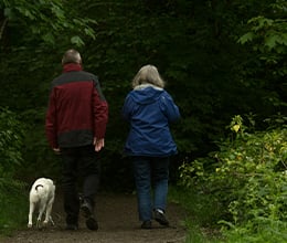 Article-Image-To-the-empty-nest-Catholic-mothers-who-ask-now-what__