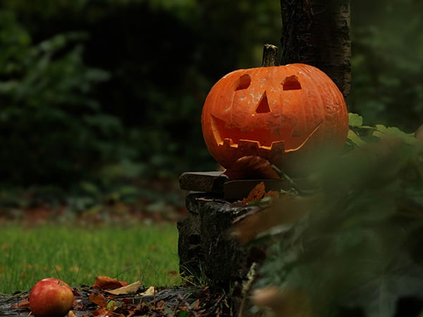 BOR-Image-39-easy-pumpkin-carving-ideas-for-the-best-jack-o-lanterns_