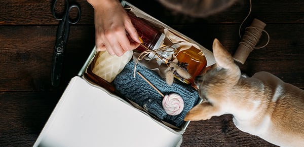Feature-Image-The-best-college-and-young-adult-fall-care-packages-that-wont-get-tossed_