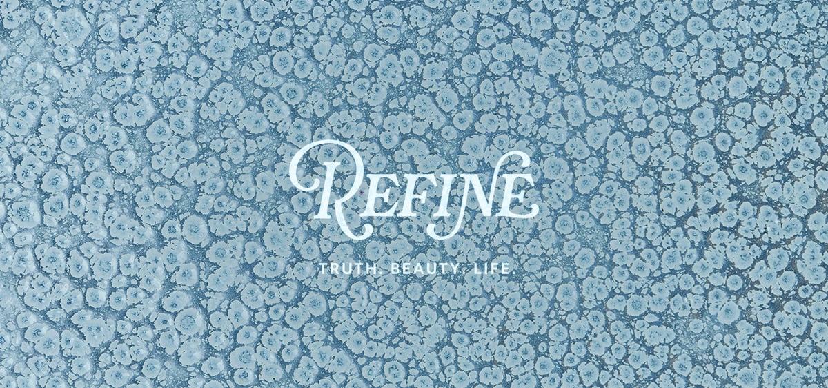 November-2025-Refine-Email-Header