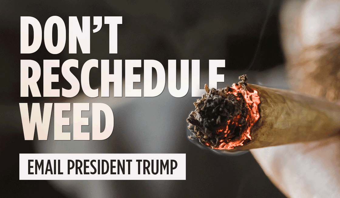 cv-ewire-marijuana-12-15-25