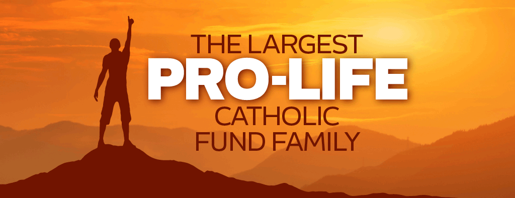 loop-graphic-—-catholic-vote-ammf-largest-1024x394-3-3