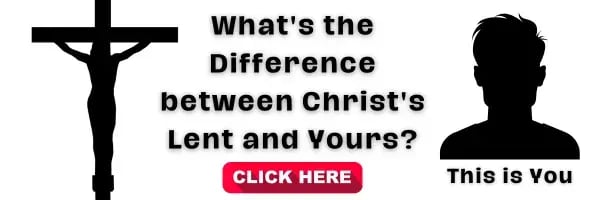 loop-promotional-images-13-1