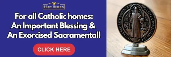 loop-promotional-images-4