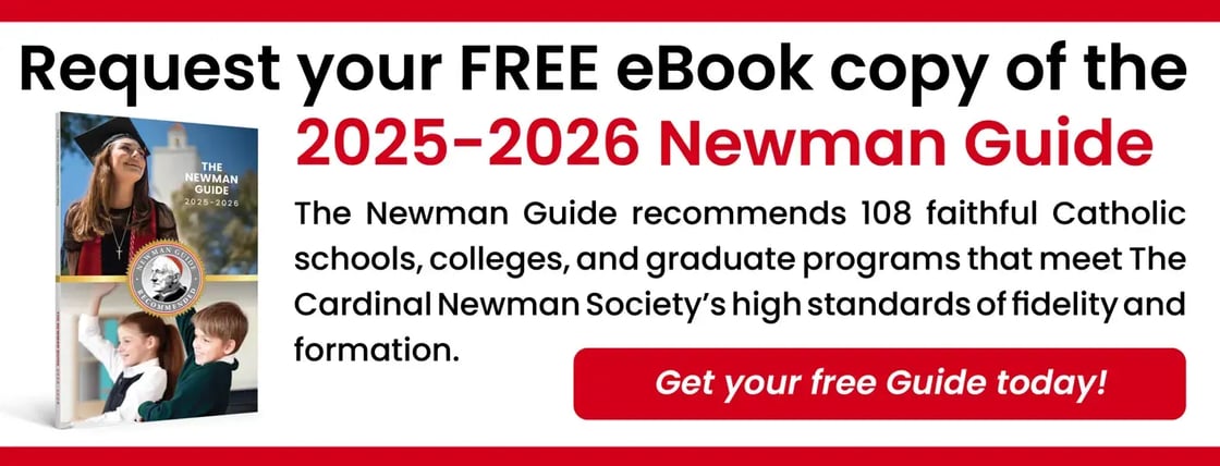 newmanguidemol