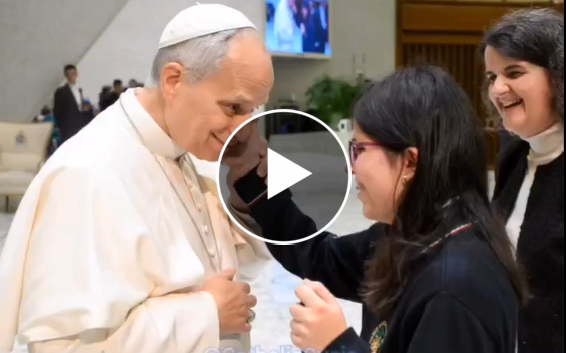 Screenshot 2026-01-18 213911