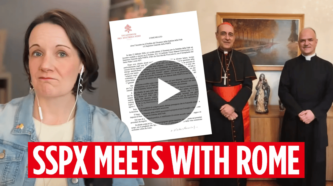 Screenshot 2026-02-13 at 1.03.31 PM